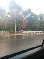 rainy, road