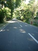 cebu, road
