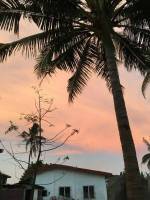 Coconut tree, blue sky