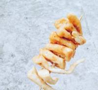 tempura, streetfood