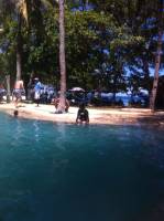 pool swimmming tambuli resort hi te alen
