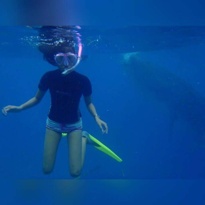 Hello my friend whale shark 