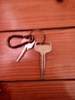 Avanza key