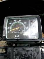 TMX Speedometer