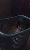 Baby in the basket