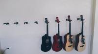 cebus pride, ukulele, cebus music hub