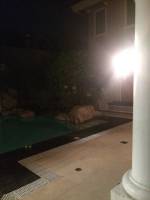 Pool at home