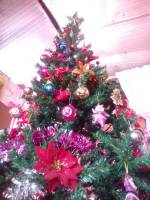 rotonda christmas tree