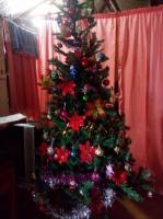 rotonda christmas tree