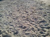 sand on my feet