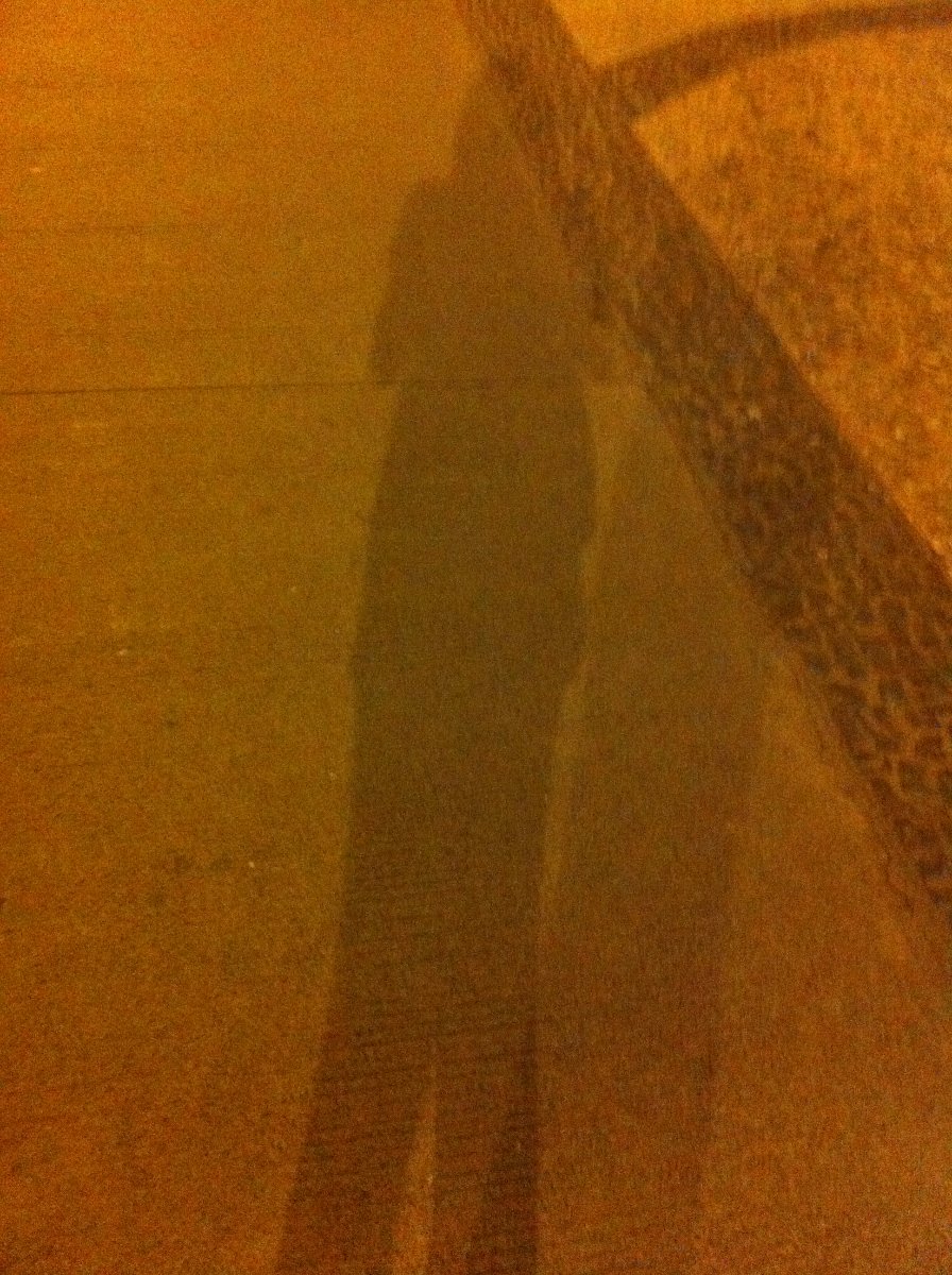 human shadow