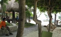 camotes island