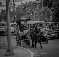 thumbnail of Featuring the Kalesa,  street photo,  bnw photography 