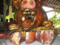 roasted piggy pig