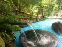 Forest camp, waterfalls, pool