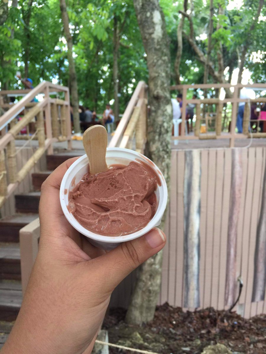 Chocolate icecream