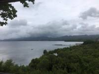 Mangrove and lake