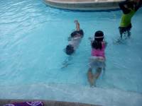 Swimming with family