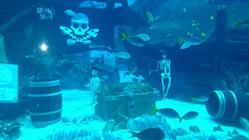 Sea Aquarium Singapore