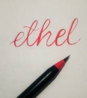 calligrapht scribbling my name