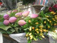 flowers in vietnam for 100, 000VND
