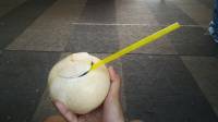 The coconut nut is a giant nut