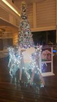 Christmas at Marriot Hotel