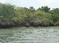 pandanon island
