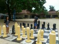 lets play giant chess