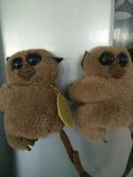 twinning tarsiers