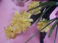 Flowers, pink, yellow