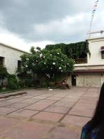 Museo sugbo, summer tour