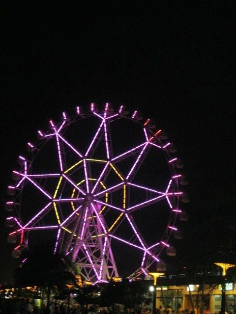 violet ferris wheel