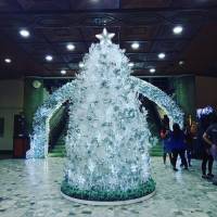 Christmas Tree in usj-r