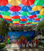 lovely umbrella colors @tamiya