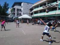 Service , volleyball