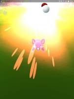 gotta get that rattata Pokemon Go, er its about the 20th rattata Ive captured and quite frankly its time to get some other amaaaaazing pokemon