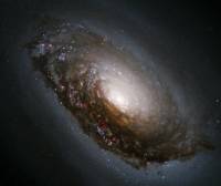 NGC1300, Barred Spiral Galaxy, Credits to NASA