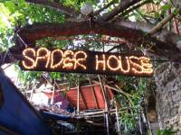 Spider house chillin