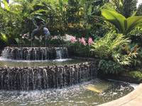 singapore botanic garden, fountain