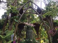 clock, singapore botanic garden