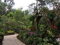 beautiful place in singapore, botanic gardens