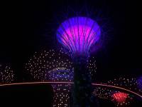 gardens by the bay, south, night lights