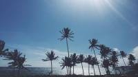 Coconut trees, blue sky, sandbar