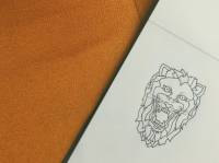 Lion line drawing