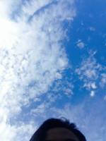 Blue, skies