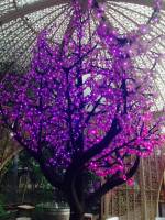 Lavender, lights, tree