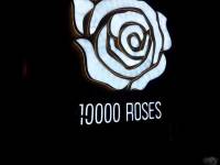 10k white roses in cordvoa