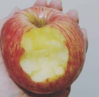 looks like snow white has bitten this apple