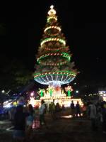 a giant christmas tree